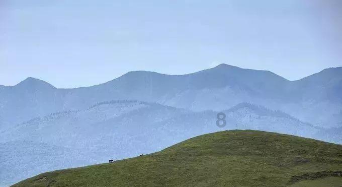 上海动物园封一个月，3百多个人和5千多只动物是怎么过的？游戏画面