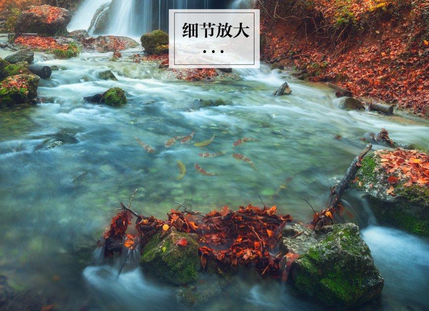 逗小猴开心系列193